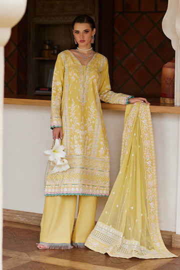Gulaal Iris Online Shopping